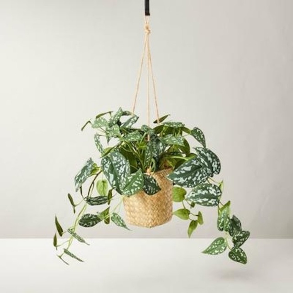 Hearth Hand Magnolia 12" Faux Variegated Pothos Hanging Plant NWT